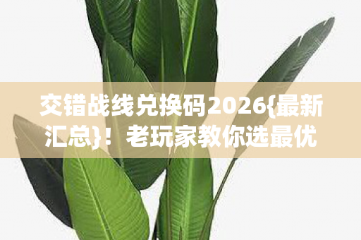 交错战线兑换码2026图片