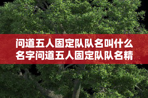 问道五人固定队队名叫什么名字问道五人固定队队名精选，创意与默契的碰撞，问道五人固定队队名精选，创意与默契的碰撞