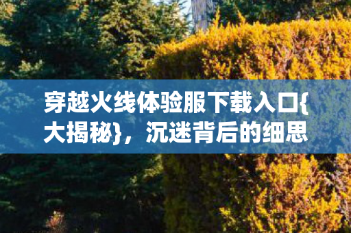 穿越火线体验服下载入口图片