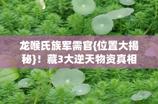 藏3大逆天物资真相图片