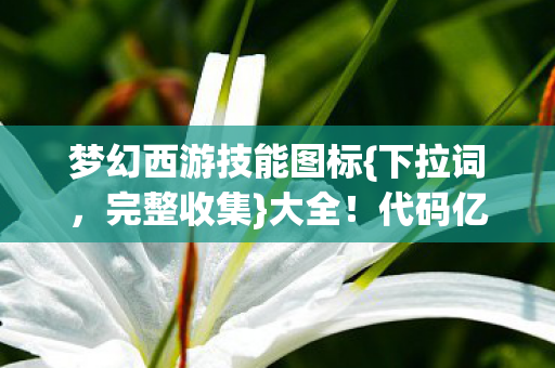 梦幻西游技能图标{下拉词,完整收集}大全!代码亿级西游幻境 梦幻西游技能图标{下拉词,完整收集}大全!代码亿级西游幻境
