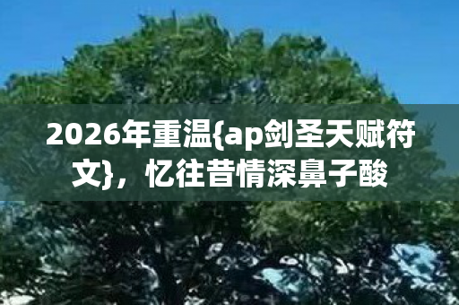 ap剑圣天赋符文图片