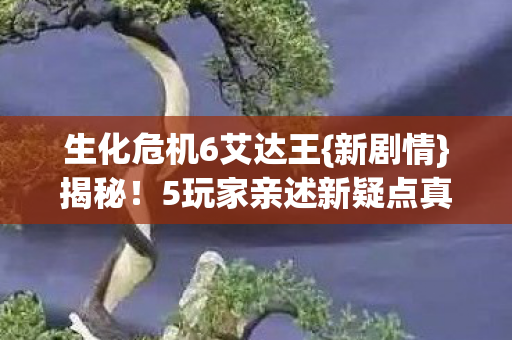 5玩家亲述新疑点真相图片