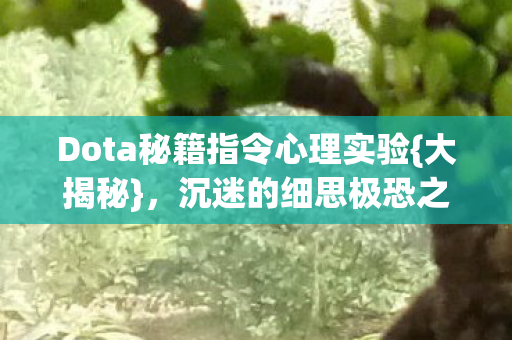Dota秘籍指令心理实验图片