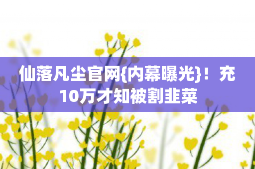 充10万才知被割韭菜图片