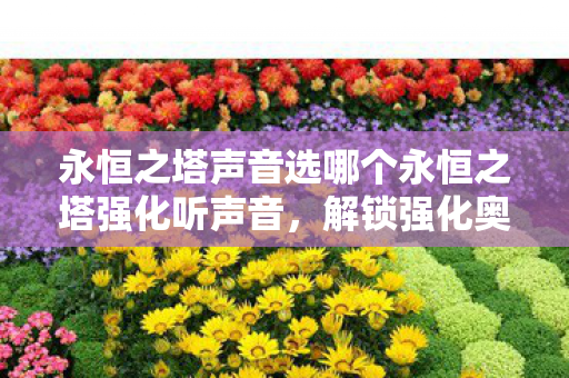 永恒之塔声音选哪个永恒之塔强化听声音图片