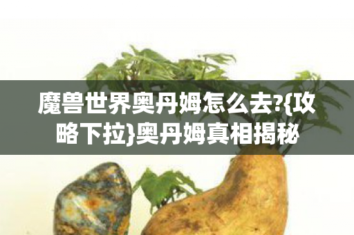 魔兽世界奥丹姆怎么去图片