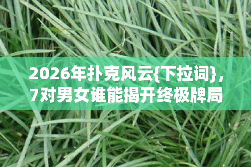 7对男女谁能揭开终极牌局图片