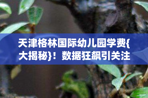 天津格林国际幼儿园学费图片