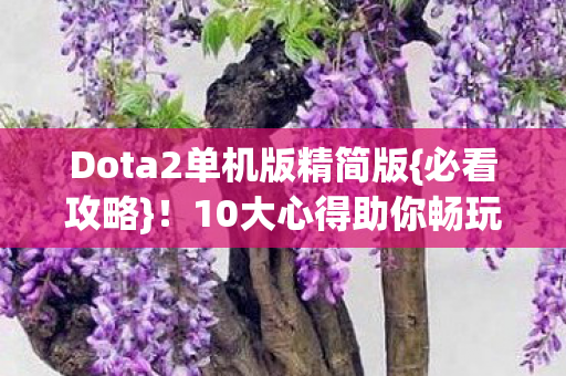 Dota2单机版精简版图片