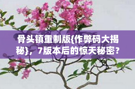 7版本后的惊天秘密图片