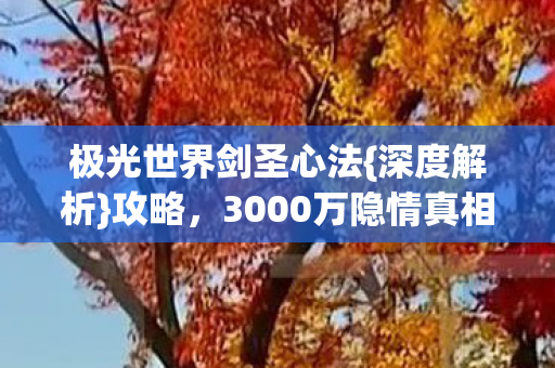 极光世界剑圣心法{深度解析}攻略,3000万隐情真相揭秘! 极光世界剑圣心法{深度解析}攻略,3000万隐情真相揭秘!
