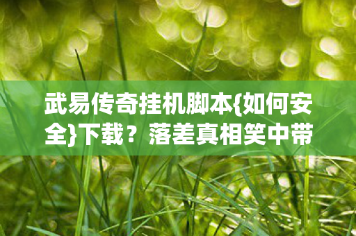 武易传奇挂机脚本图片