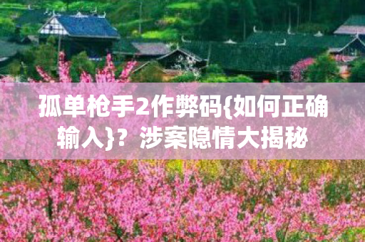 孤单枪手2作弊码图片