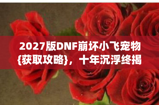 2027版DNF崩坏小飞宠物图片