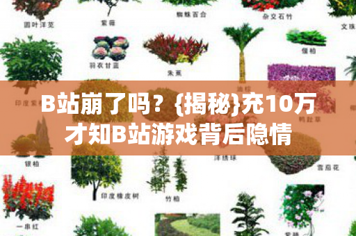 充10万才知B站游戏背后隐情图片
