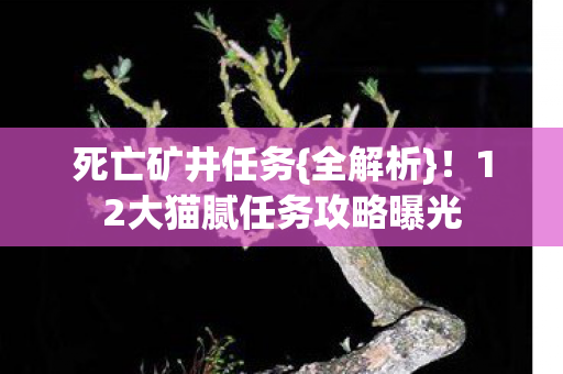 12大猫腻任务攻略曝光图片