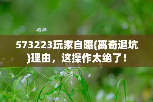 573223玩家自曝{离奇退坑}理由，这操作太绝了！