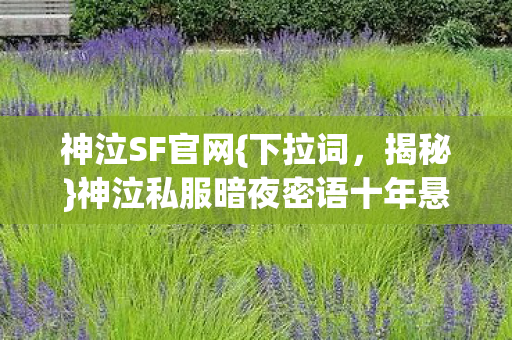 神泣私服暗夜密语十年悬案图片