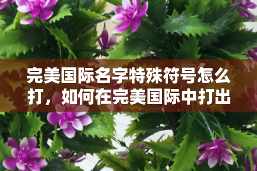 如何在完美国际中打出特殊符号名字图片