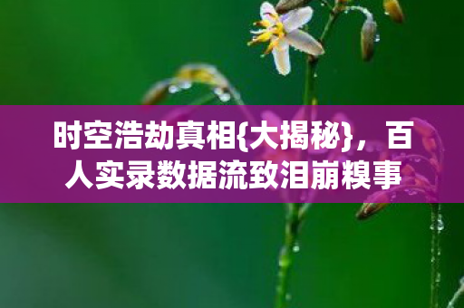 百人实录数据流致泪崩糗事图片