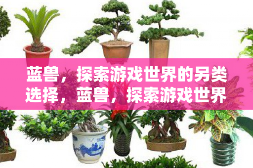 探索游戏世界的另类选择图片