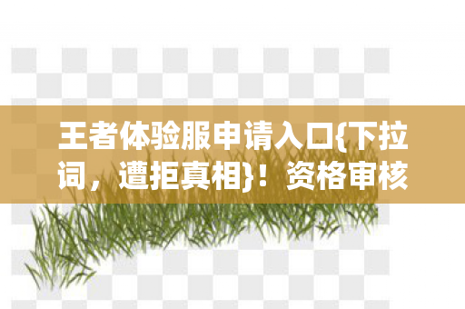 资格审核让老玩家懵了图片