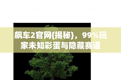 玩家未知彩蛋与隐藏赛道图片