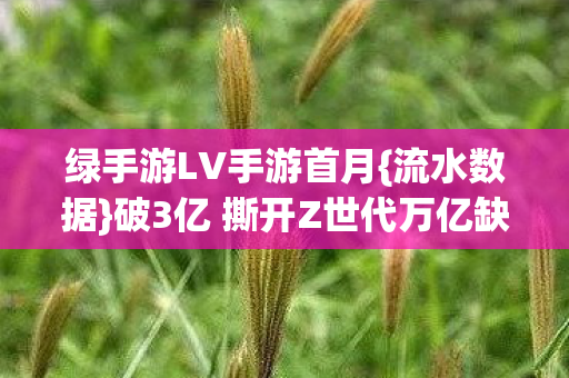 破3亿 撕开Z世代万亿缺口图片