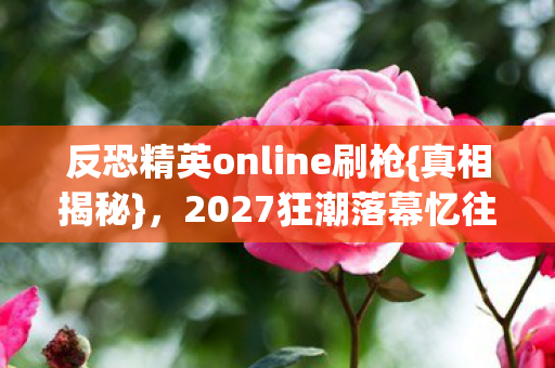 反恐精英online刷枪{真相揭秘}，2027狂潮落幕忆往昔