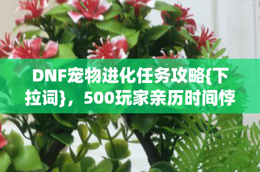 DNF宠物进化任务攻略{下拉词},500玩家亲历时间悖论解析 DNF宠物进化任务攻略{下拉词},500玩家亲历时间悖论解析