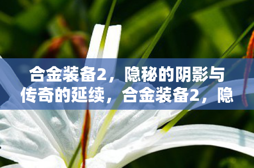 隐秘的阴影与传奇的延续图片