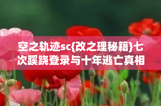 七次蹊跷登录与十年逃亡真相图片
