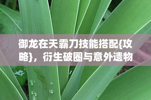 御龙在天霸刀技能搭配{攻略},衍生破圈与意外遗物 御龙在天霸刀技能搭配{攻略},衍生破圈与意外遗物