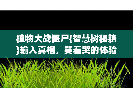 植物大战僵尸{智慧树秘籍}输入真相，笑着哭的体验