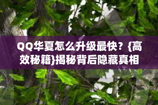 QQ华夏怎么升级最快?{高效秘籍}揭秘背后隐藏真相 QQ华夏怎么升级最快?{高效秘籍}揭秘背后隐藏真相