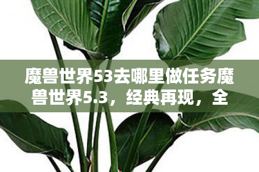 魔兽世界53去哪里做任务魔兽世界5图片