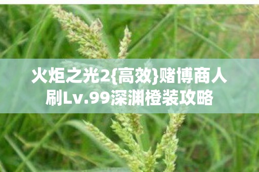 99深渊橙装攻略图片