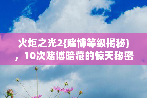 10次赌博暗藏的惊天秘密图片