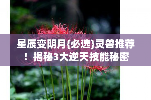 揭秘3大逆天技能秘密图片