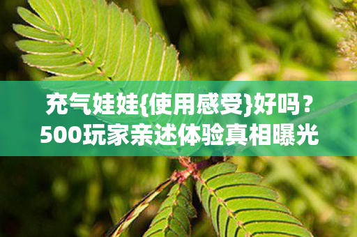 充气娃娃{使用感受}好吗?500玩家亲述体验真相曝光 充气娃娃{使用感受}好吗?500玩家亲述体验真相曝光