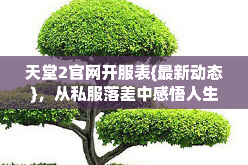 天堂2官网开服表{最新动态}，从私服落差中感悟人生