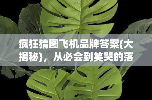 疯狂猜图飞机品牌答案图片