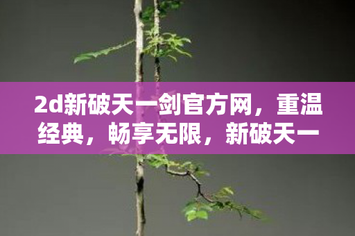 2d新破天一剑官方网，重温经典，畅享无限，新破天一剑2D经典重燃，畅享无限乐趣！