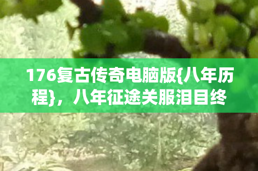 176复古传奇电脑版图片