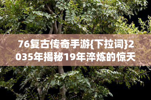 2035年揭秘19年淬炼的惊天秘密图片