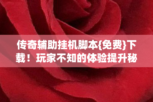 玩家不知的体验提升秘籍图片