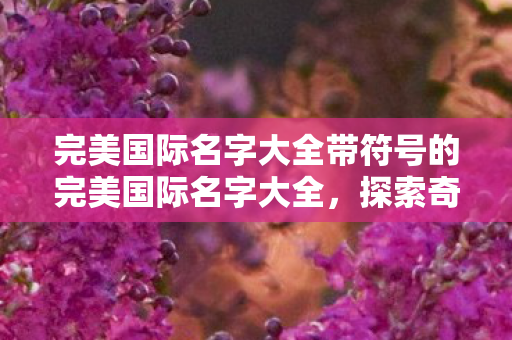 完美国际名字大全带符号的完美国际名字大全图片