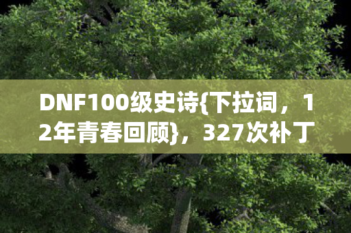 DNF100级史诗图片