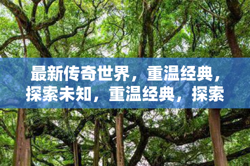 最新传奇世界开启图片